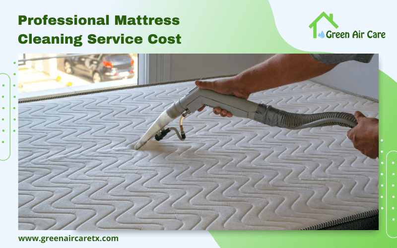 Professional Mattress Cleaning Service Cost