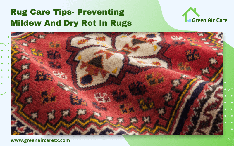 Rug Care Tips- Preventing Mildew And Dry Rot In Rugs